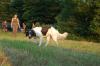 Bild "003-VGP_VPS_2013_0052.jpeg"